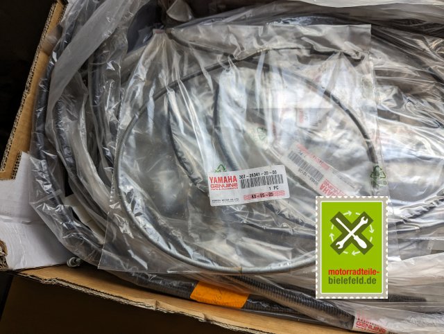 PXL_20240510_150537965